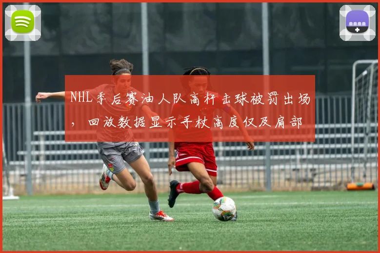 NHL季后赛油人队高杆击球被罚出场，回放数据显示手杖高度仅及肩部未超标